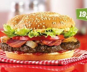 Mc Donalds 1955 Burger